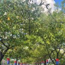 남원대교 사거리 이미지