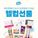 코지캣독