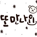 세이북스세종
