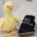 리포메디 | 남양왁싱 브라질리언왁싱 후기ㅣ리포윅스 슈가링왁싱 화성남양점