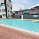 수영장펜션 이미지