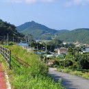 세포마을 이미지