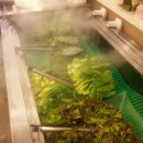 한식뷔페 장금이 이미지