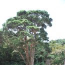 미당농장 이미지