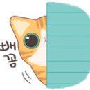 정성달아 이미지