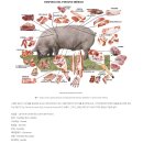찾아가는 발코니 버스킹 | 스페인&amp;포르투갈여행_후기와 소소한 팁 공유, 포스팅 모아보기