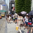 엘토스트&커피 네이버블로그