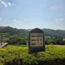 그린힐골프 | 강원 횡성 어려운 골프장 웰리힐리CC 남코스 라운딩 후기