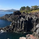 티에스엘 이미지