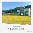 모모카네 펜션 | 충남 홍성 애견동반 여행 독채에서 보내는 하루 모모카네 펜션