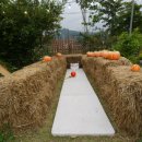 The드림어린이집 이미지