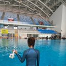평동산단5번우로 네이버블로그