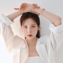 네트리스
