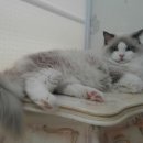 남구-037 이미지