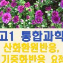 중화솔로몬 이미지