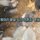 건강한 아리농장 이미지