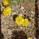 산울펜션 이미지