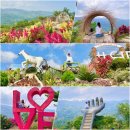 둘로스 | 세부 렌트카 시티투어 시라오가든 레아신전 둘로스투어 후기