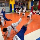 엘리트 태권도장 이미지