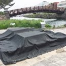 탐라문화광장 이미지