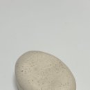 브이엠티