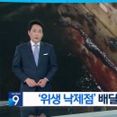 혐) &#34;곰팡이 낀 도마 사용&#34;…위생 불량 배달업소 무더기 적발 이미지