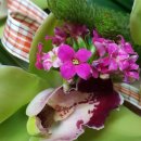 만안구청 강당 이미지