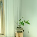 하저스테이 이미지