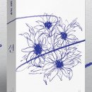 루시(LUCY) 이미지