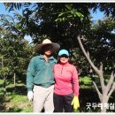 대농농장 이미지