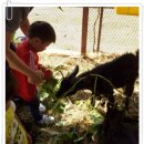 상일농장 이미지