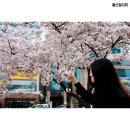 문화예술회관 옆 이미지