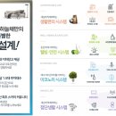 트라비스