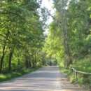 고향부동산중개사무소 이미지