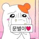 잘자