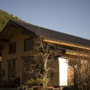 잎새바람 이미지