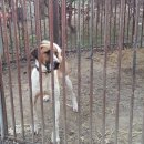 이충구농장 이미지