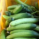 순애축산 네이버블로그