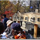 곰배령 Art House 이미지