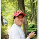 성전일식 이미지