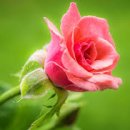 나곡체육공원 이미지