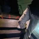 파인트리풀빌라펜션 이미지