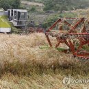 호정축산 연합뉴스