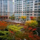 중앙하이츠공인중개사사무소 이미지