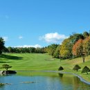 즐거운 5월 골프 골드 삿포로 컨트리클럽을 갔습니다. 이미지
