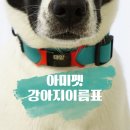 강아지이름표 아미펫 대형견 실리콘 네임택제작 후기