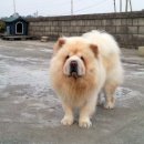 애개 하우스 이미지