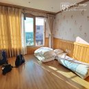 다육농가민박 | 제주 서귀포 숙소 한달살기 좋겠구 귤따기체험 가능