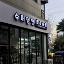 슈퍼멍캣