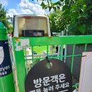 원주유치원 | 저스트도그 반곡점 : 원주 반곡동 애견카페 유치원 호텔 ♥ 내돈내산 후기